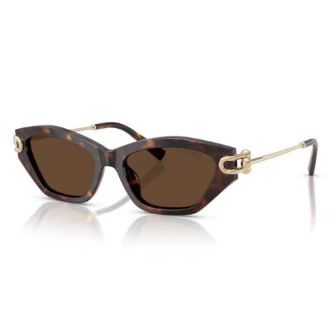 Tiffany & Co 4231U - 53 80153G