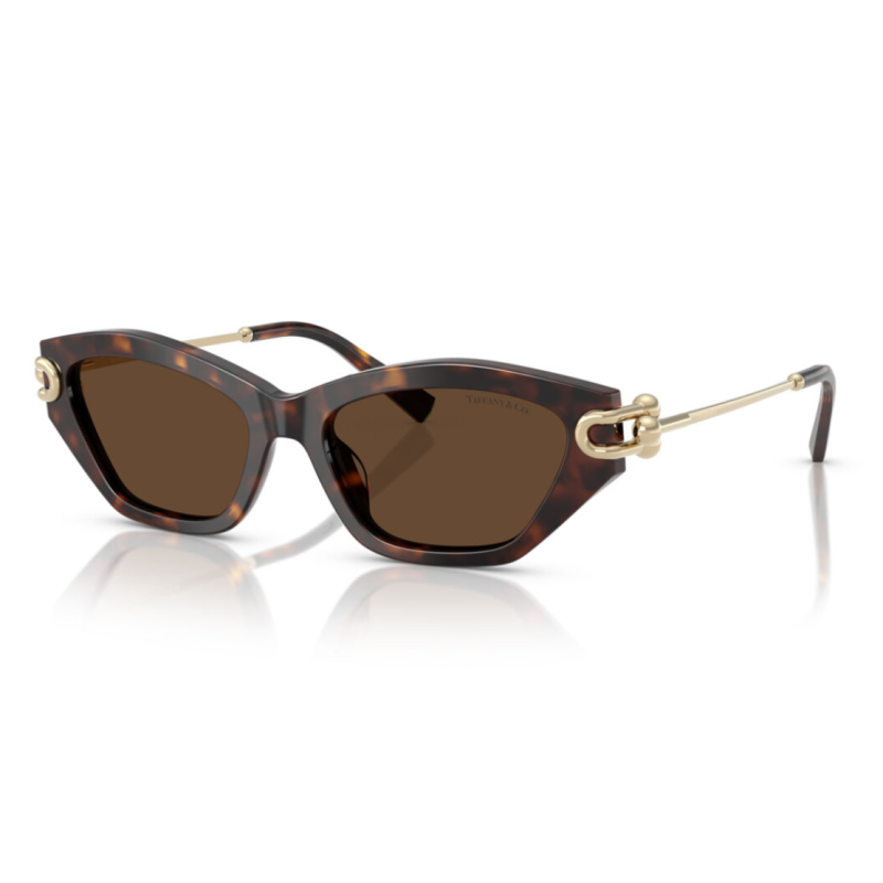 Tiffany & Co 4231U - 53 80153G