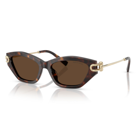 Tiffany & Co 4231U - 53 80153G