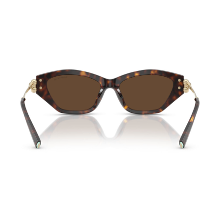 Tiffany & Co 4231U - 53 80153G