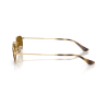 Ray Ban 3947 - 57 001/33