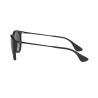 Ray Ban 4171 Erika - 54 622/8G