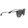 Ray Ban 4171 Erika - 54 622/8G