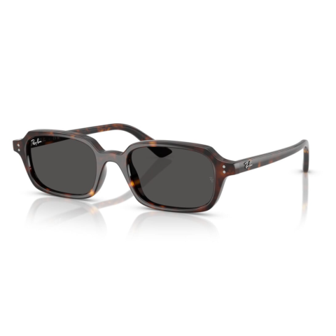 Ray Ban 4455 Zuri - 52 135987