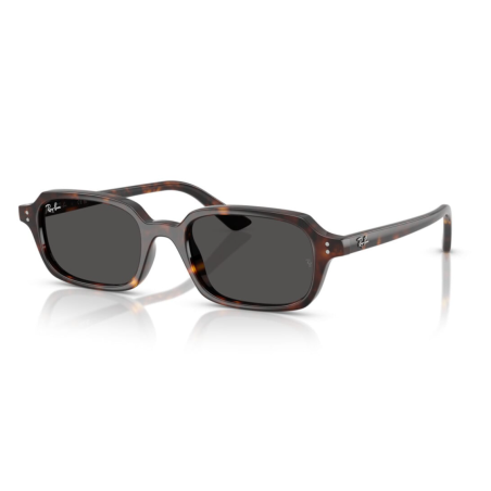 Ray Ban 4455 Zuri - 52 135987
