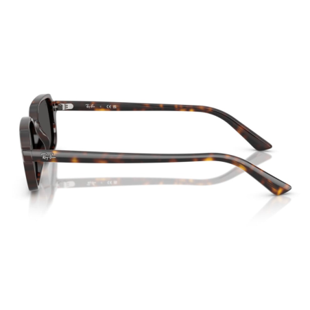 Ray Ban 4455 Zuri - 52 135987