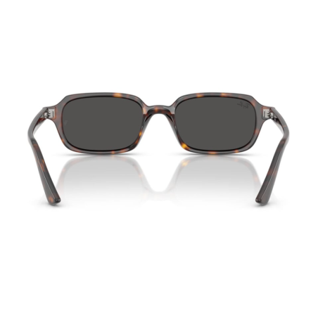 Ray Ban 4455 Zuri - 52 135987