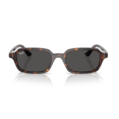 Ray Ban 4455 Zuri - 52 135987