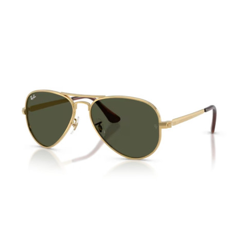 Ray Ban 3925 Aviator Max - 58 001/31