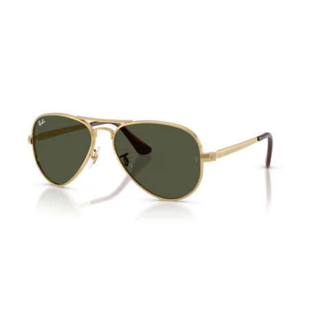 Ray Ban 3925 Aviator Max - 58 001/31