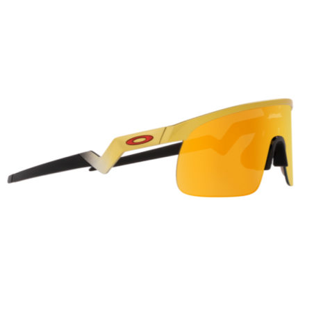 Oakley 9010 08 Resistor