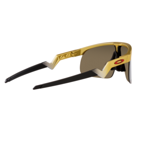 Oakley 9010 08 Resistor