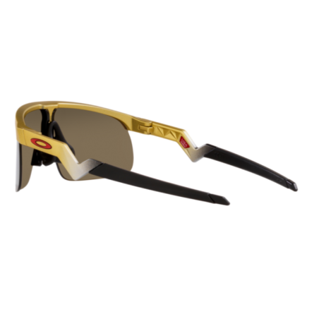 Oakley 9010 08 Resistor
