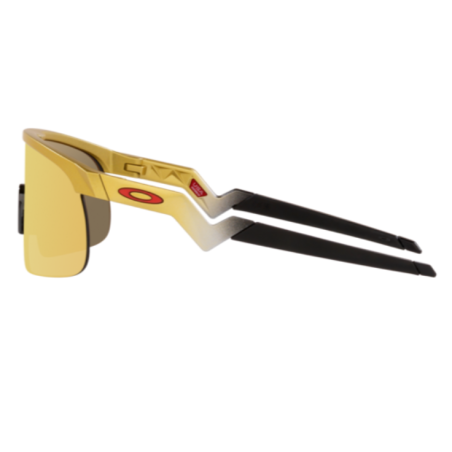 Oakley 9010 08 Resistor