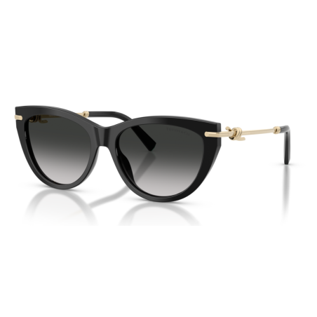 Tiffany & Co 4253 - 55 80013C