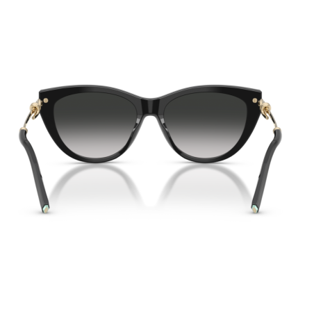 Tiffany & Co 4253 - 55 80013C