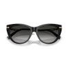 Tiffany & Co 4253 - 55 80013C