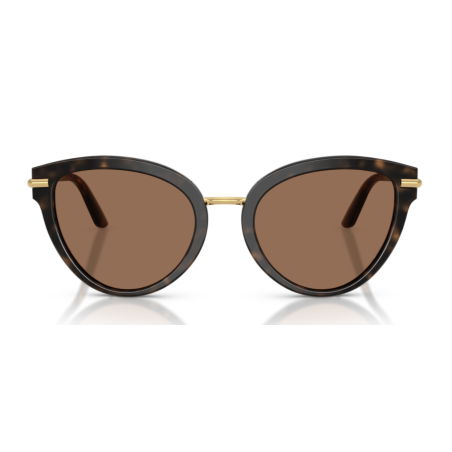 Dolce e Gabbana 4492 -55 321/13