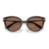 Dolce e Gabbana 4492 -55 321/13