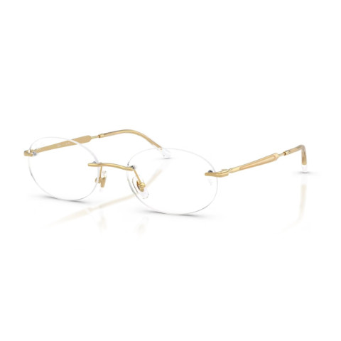 Ray Ban 3767V - 50 2500