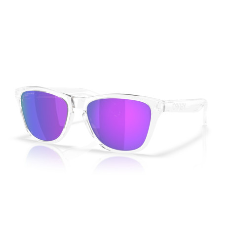 Oakley Frogskins S 9508 02