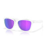 Oakley Frogskins S 9508 02