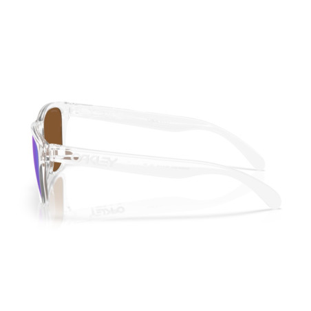 Oakley Frogskins S 9508 02