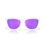 Oakley Frogskins S 9508 02