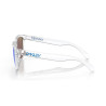 Oakley 9013 D0 Frogskins