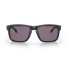 Oakley Holbrook 9102 E8