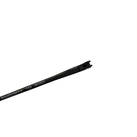 Ray Ban 4221 - Aste di Ricambio - Nero