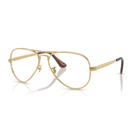 Ray Ban 3925V - 58 2500