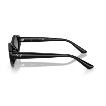 Ray Ban 4473D - 667711