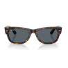 Ray Ban 0832S - 55 902/R5