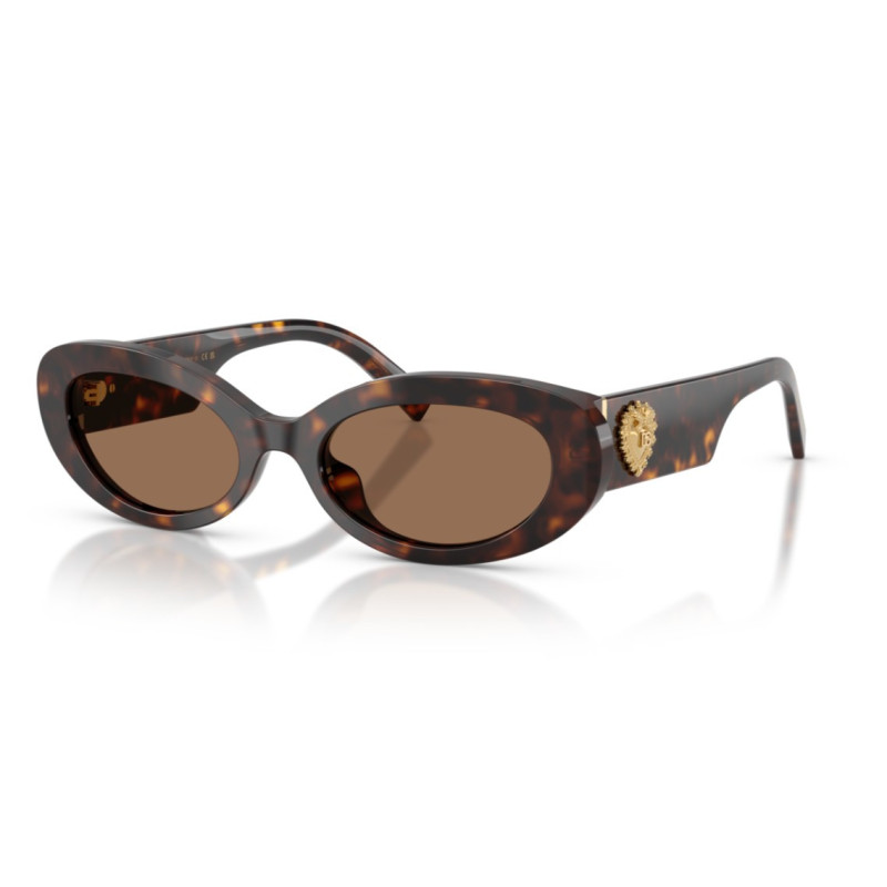 Dolce e Gabbana 4537 - 53 502/73