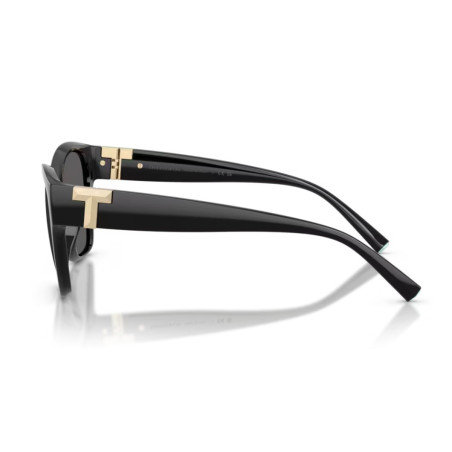 Tiffany & Co 4254U - 56 8001S4
