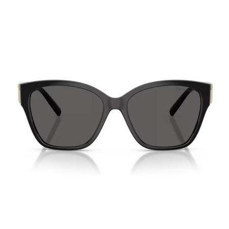 Tiffany & Co 4254U - 56 8001S4