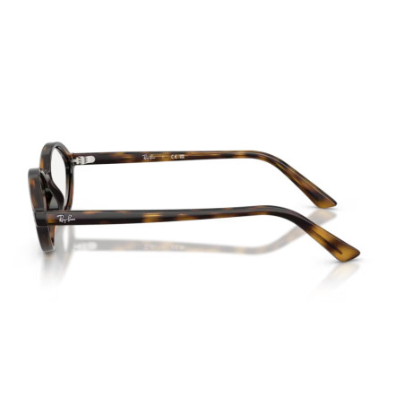 Ray Ban 7265 - 52 8320