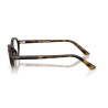 Ray Ban 7265 - 52 8320