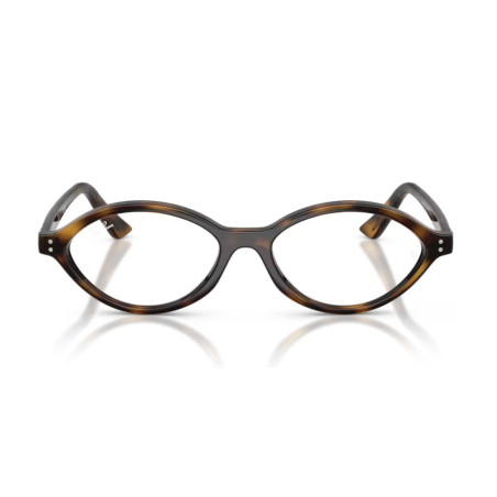 Ray Ban 7265 - 52 8320