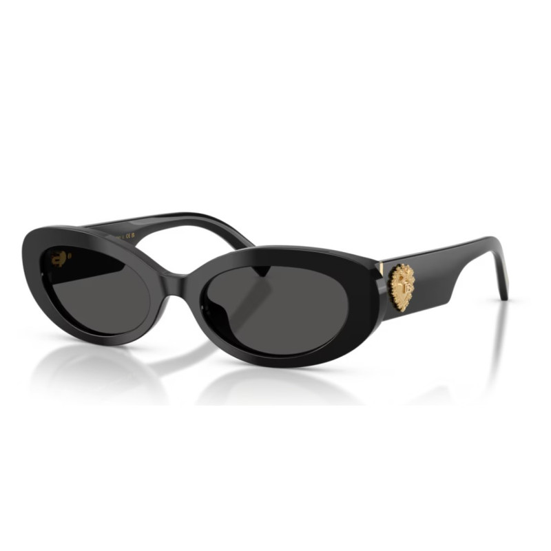 Dolce e Gabbana 4537 - 53 501/87