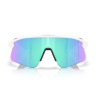 Oakley 9517 Stunt Devil 04