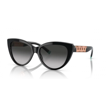 Sunglasses Tiffany & Co. occhiale da sole 4196