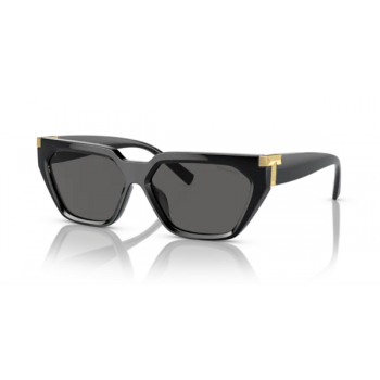 Sunglasses Tiffany & Co. occhiale da sole 4205U
