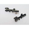 Ray Ban 4125 Cats - Guarnizione Asta - Argento